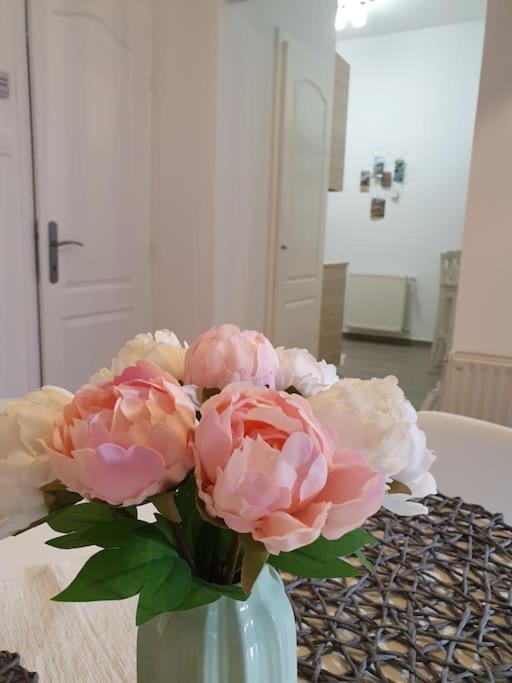 Andrea Apartman Miskolc Belvarosaban מראה חיצוני תמונה